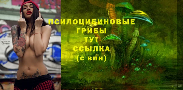 spice Абаза