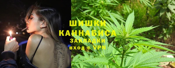 spice Абаза