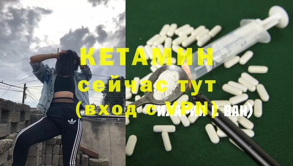крисы Алексин