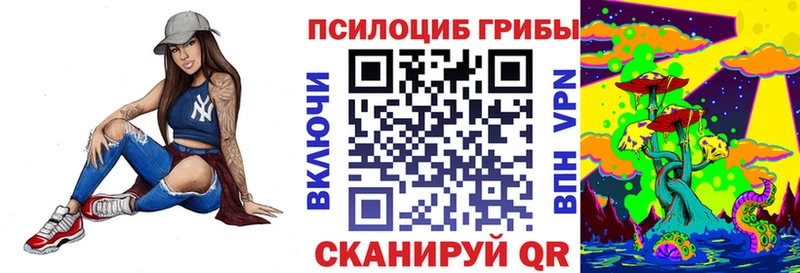 дарнет шоп Мостовской Псилоцибиновые грибы Psilocybine cubensis