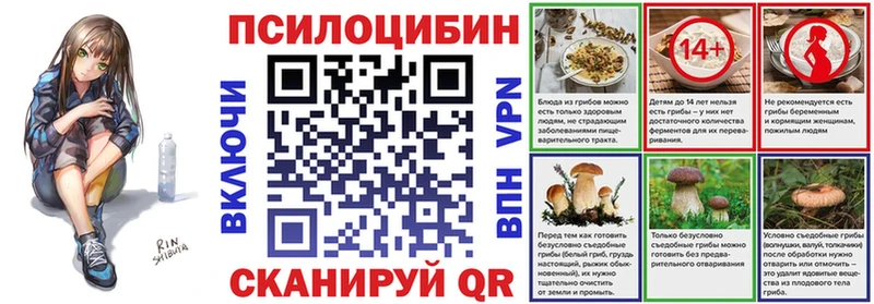 Псилоцибиновые грибы Cubensis Мостовской